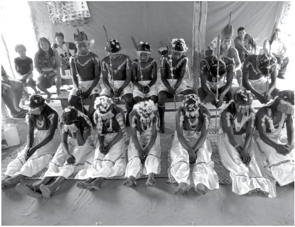 Fotografia divulgação