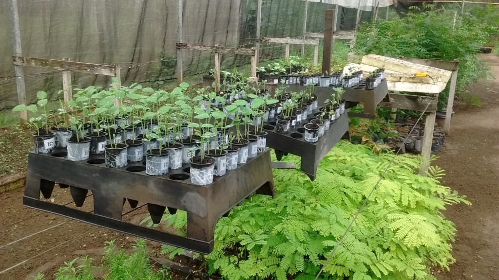 pesquisa Tiago CESI (3)