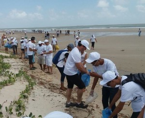 Coleta de lixo por voluntarios