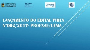 pibex2017