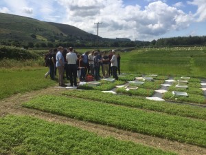 Maranhão em Nottingham