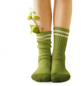 the-odd-life-of-timothy-green-5147925f6f5ea