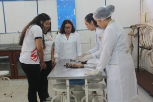 4mostradeprofissões4