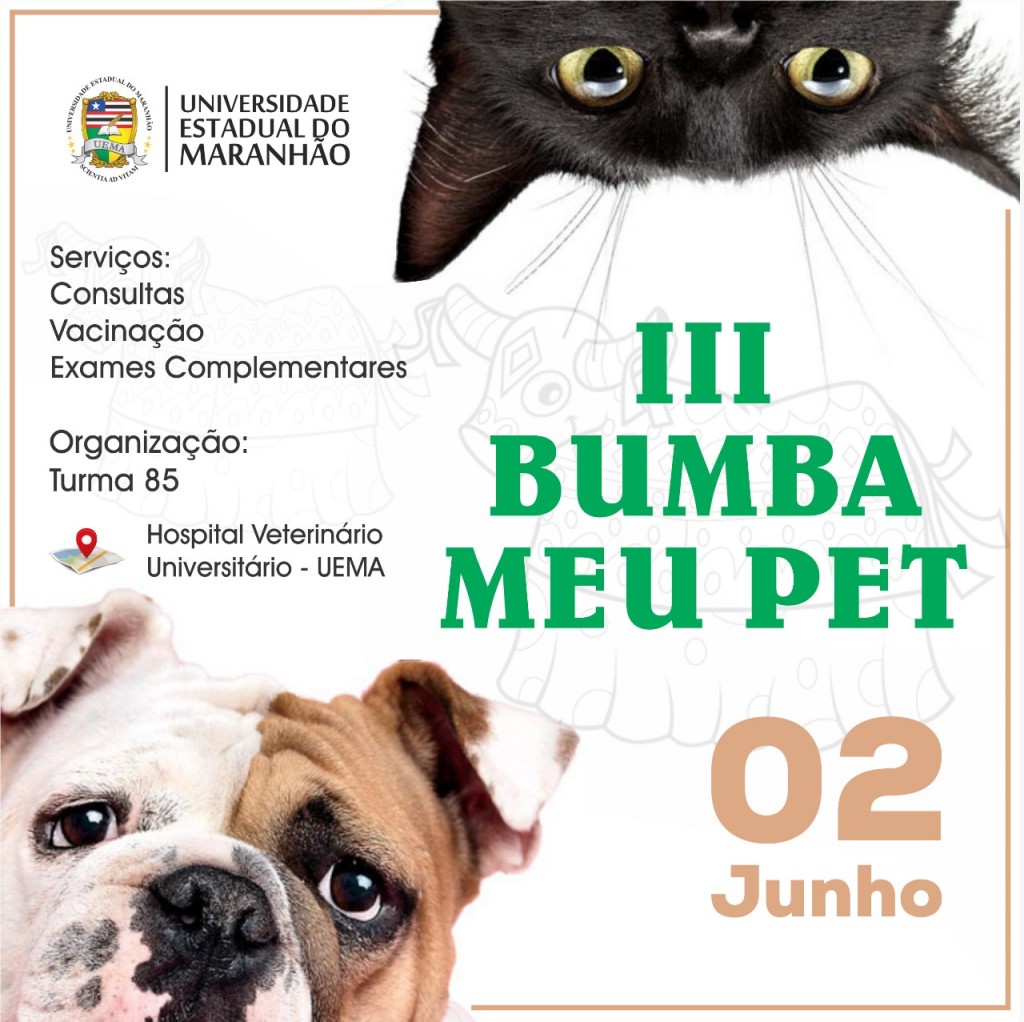 bumba meu pet