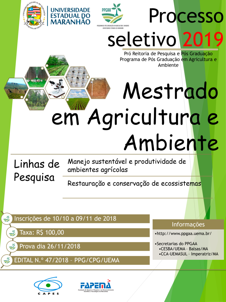 banner-seleção-2019