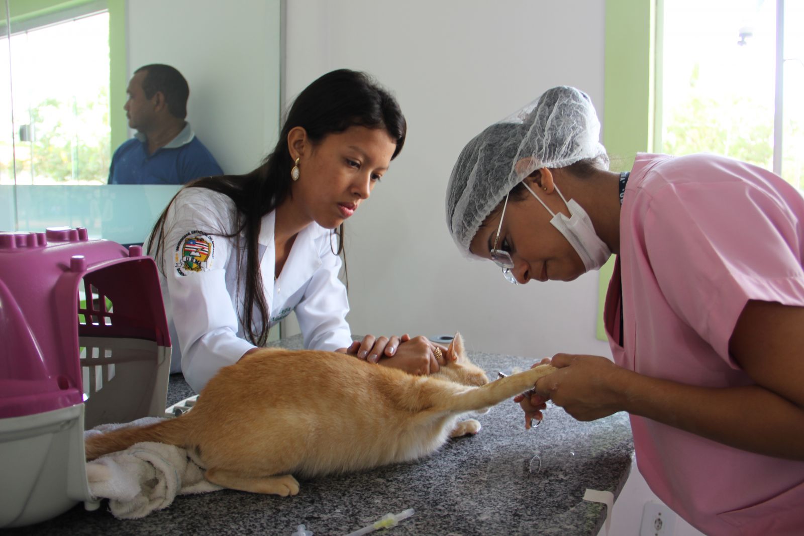 Programa de Aperfeiçoamento Técnico integra novos residentes ao Hospital Veterinário