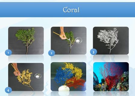 Alunos do curso de Biologia participarão do 5º Congresso Brasileiro de Biologia