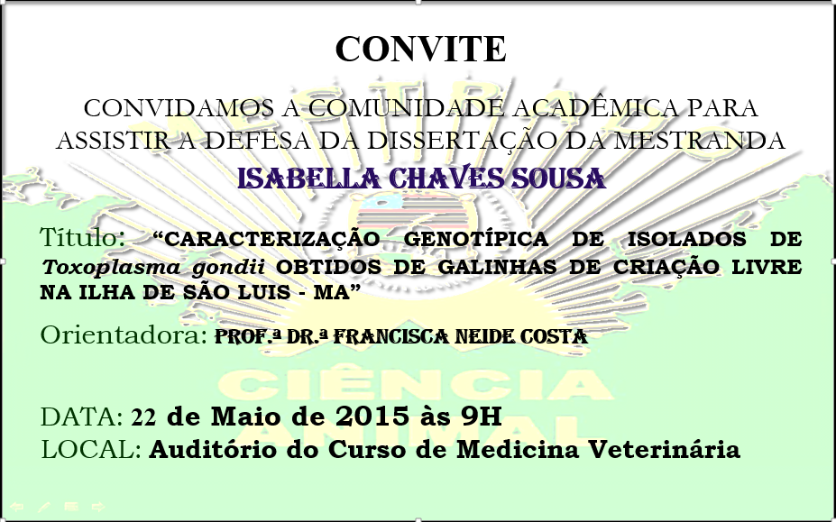 Defesa de dissertação da mestranda Isabella C. S.