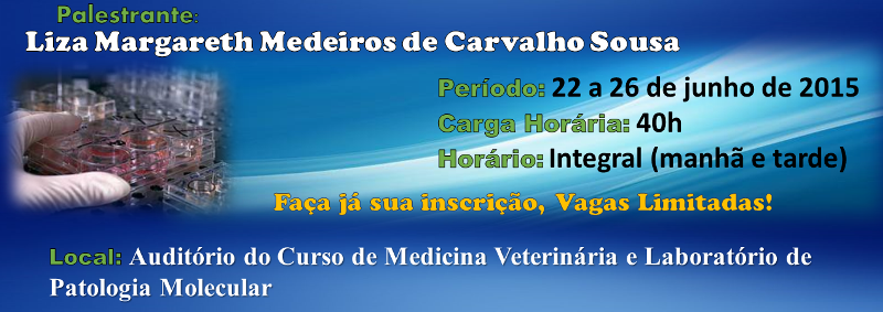 Programa de Mestrado em Ciência Animal da UEMA promove Curso de Cultivo Celular