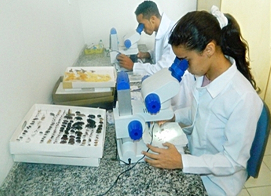 UEMA abre inscrições para o PPGBAS em Caxias