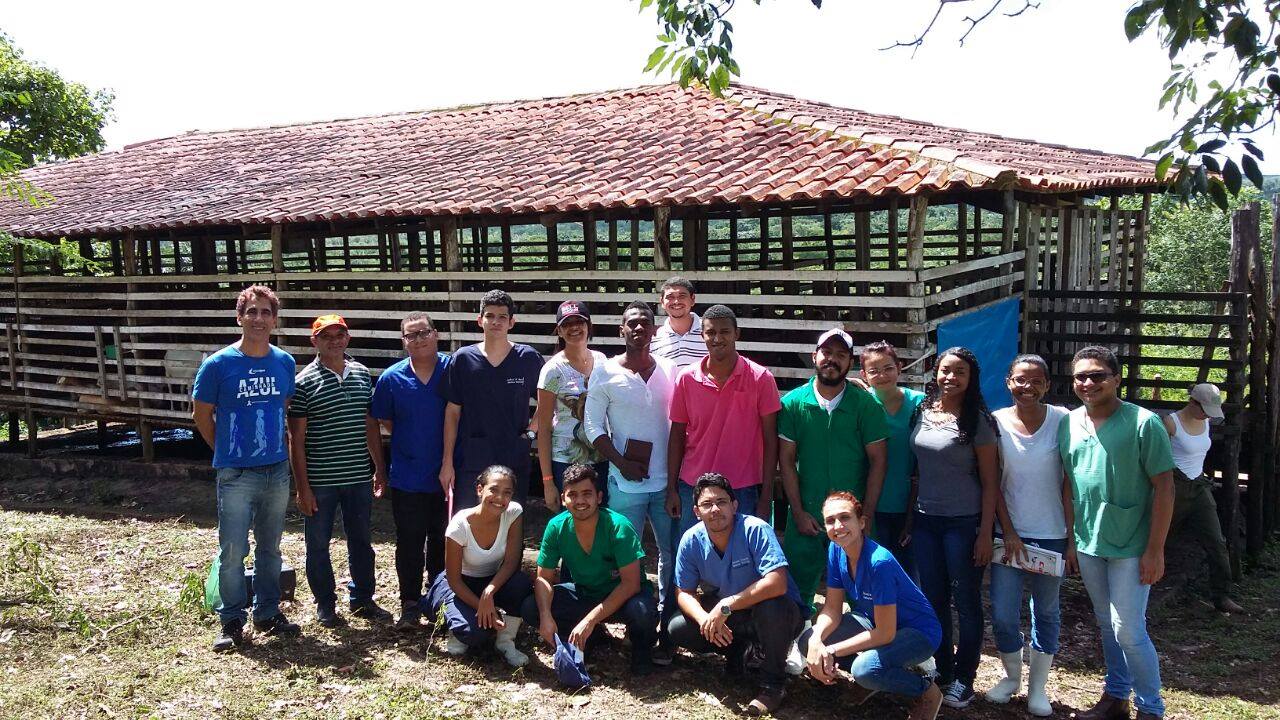 Alunos de Medicina Veterinária e Agronomia participam de aula de campo em  Presidente Juscelino