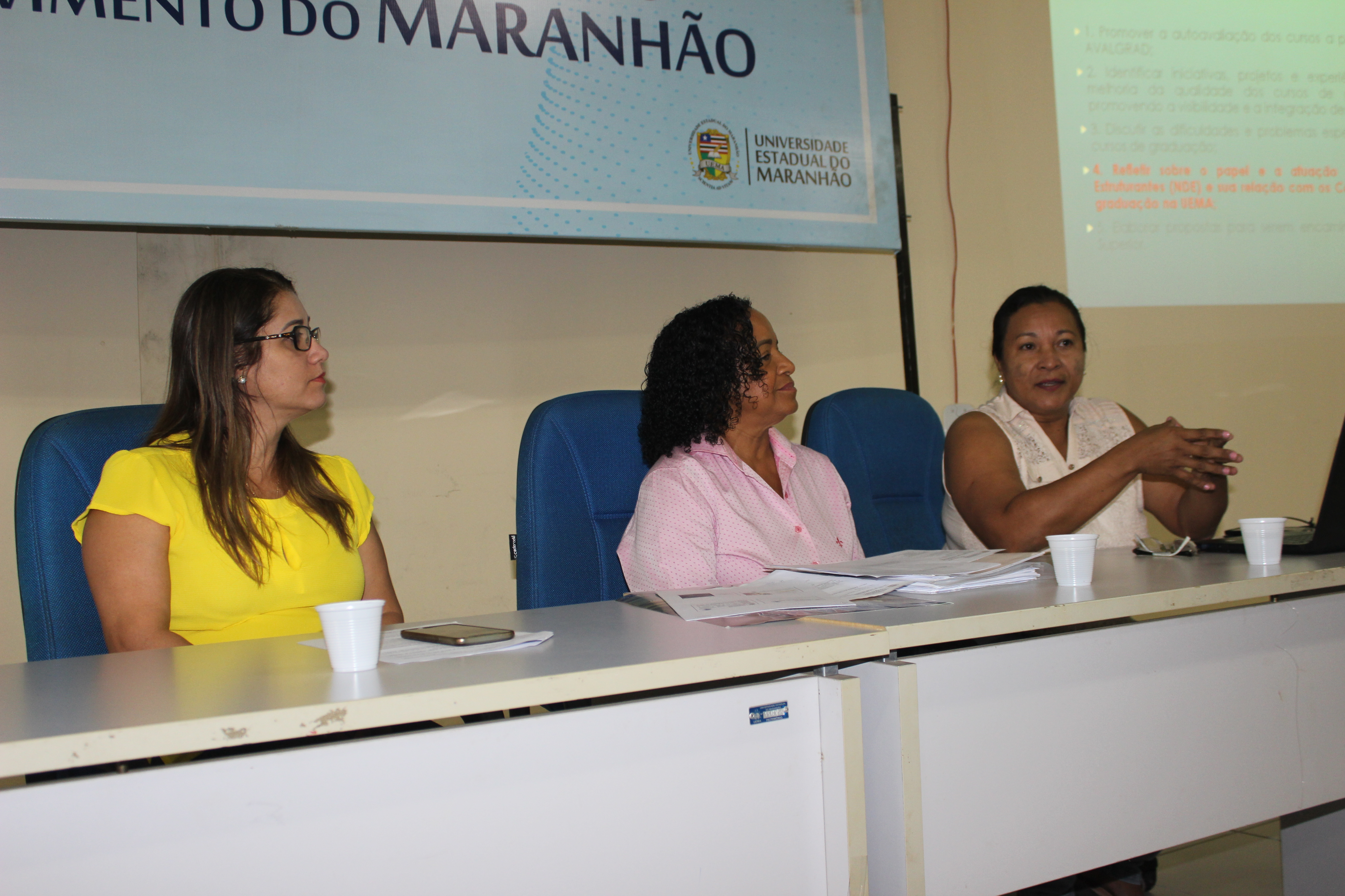 PROG realiza Jornada Núcleo Docente Estruturante