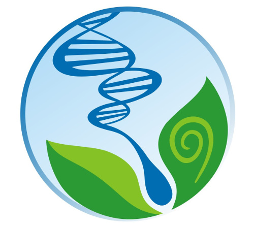 Selo Nacional de Qualidade de Cursos de Ciências Biológicas: Curso da UEMA recebe premiação hoje