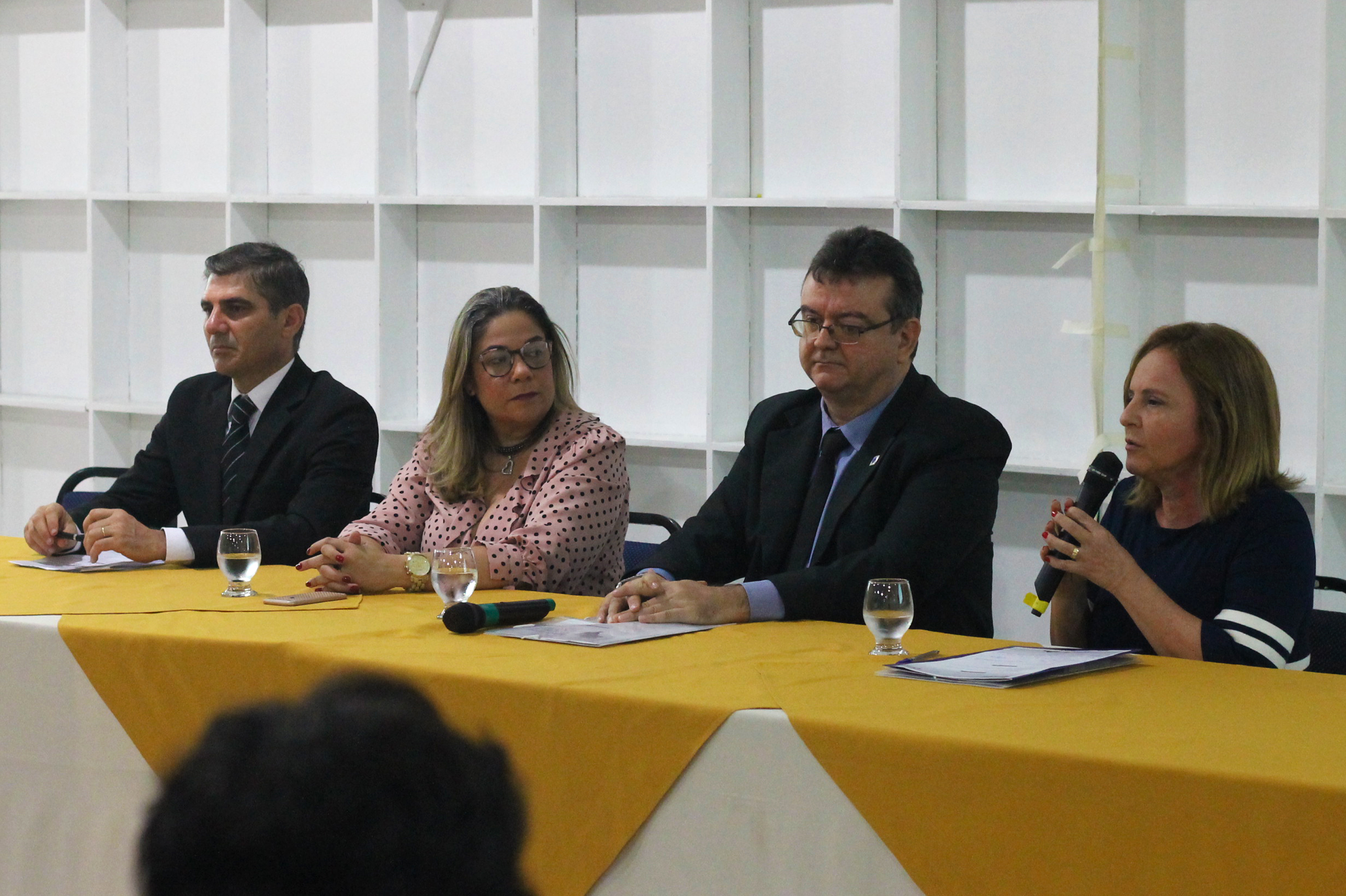 UEMA presente no Encontro Regional de Coordenadores de Polo da UAB