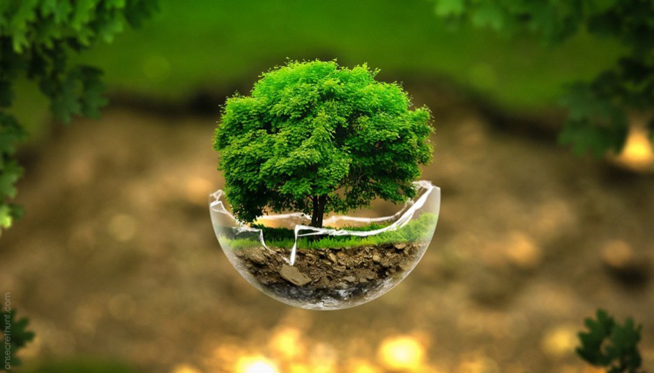 Últimos dias de inscrição nos cursos de Especialização em Gestão Ambiental e em Engenharia Sanitária e Controle Ambiental