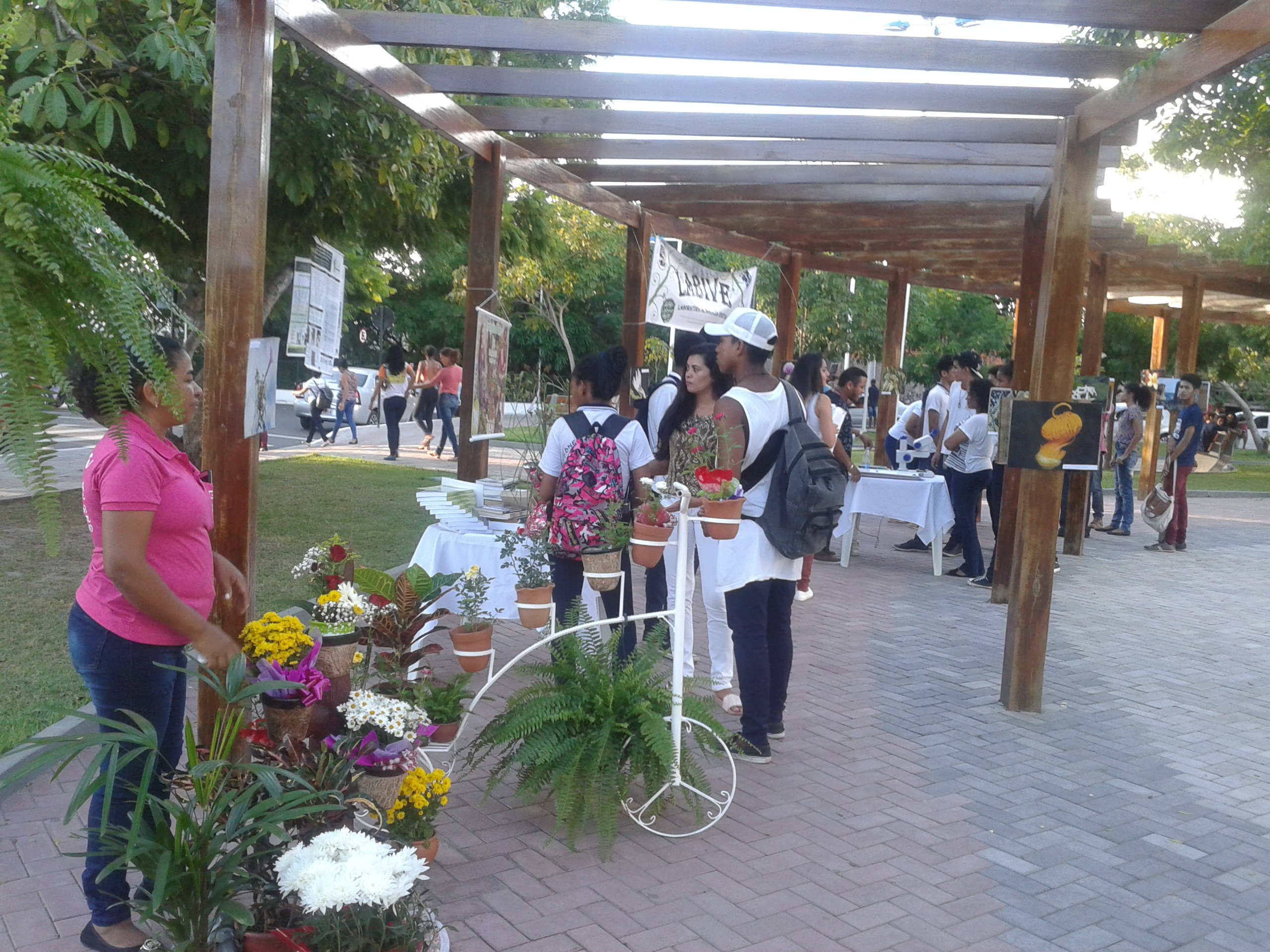 Dia Mundial de Fascínio pelas Plantas é realizado em Caxias