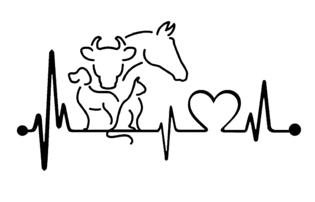 Curso de Medicina Veterinária realizará curso de diagnóstico e controle de brucelose e tuberculose animal