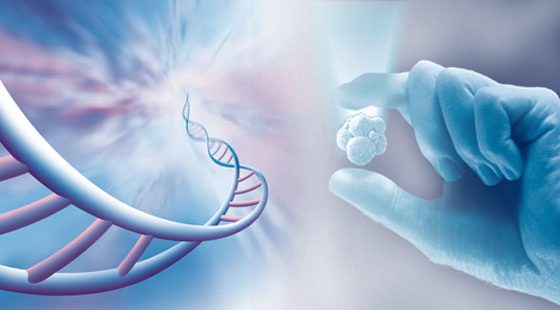 UEMA realiza I Simpósio de Bioética