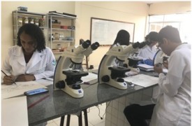 Graduandos de Ciências Biológicas e artistas realizam exposição em comemoração aos 15 anos do Curso