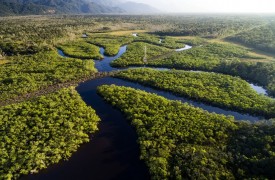 I Encontro do PROCAD Amazônia acontece no próximo mês