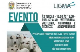 Liga acadêmica de Melhoramento Genético Animal promove nesta terça último módulo do curso Práticas de gestão em pecuária de corte