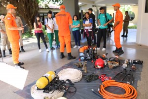 mostradeprofissões3