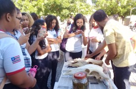 V Mostra de Profissões 2019 é realizada no Campus Caxias