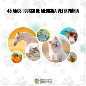 veterinária