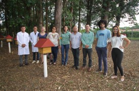 UEMA discute parceria para revitalização do meliponário da Vale