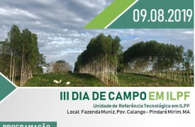 III DIA DE CAMPO EM INTEGRAÇÃO LAVOURA-PECUÁRIA-FLORESTA DA UEMA E EMBRAPA
