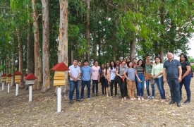 Professores e alunos do IFMA visitam Meliponário Warwyck Estevam Kerr da UEMA