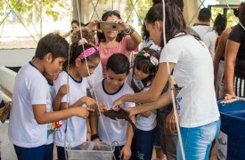 Mais de 2.500 crianças de escolas públicas e particulares participam das atividades do Projeto Criança Engenharia
