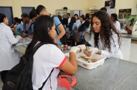 Professores e acadêmicos do curso de Ciências Biológicas da UEMA recebem alunos da educação básica