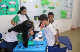 Exposição Trilha dos Insetos da UEMA é apresentada durante Semana Nacional de Ciência e Tecnologia