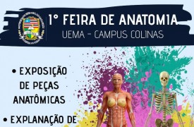Campus Colinas promove 1ª Feira de Anatomia Humana