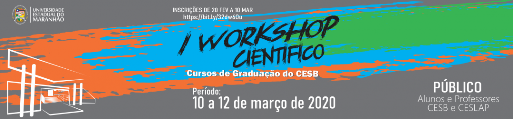 WORKSHOP BACABAL (1)