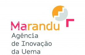 Agência de Inovação e Empreendedorismo da UEMA promove a aproximação da Universidade com o mercado