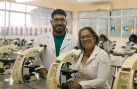 Pesquisa  da UEMA descobre uma nova espécie fúngica que afeta a produção em pós colheita de mamão