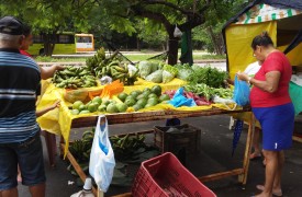Feirinha de Agronomia da UEMA completa 4 anos.