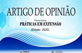 ARTIGO: Em Tempos de Exceção como Fazer Extensão? Reflexões sobre a Prática da Extensão Universitária no Combate à COVID-19