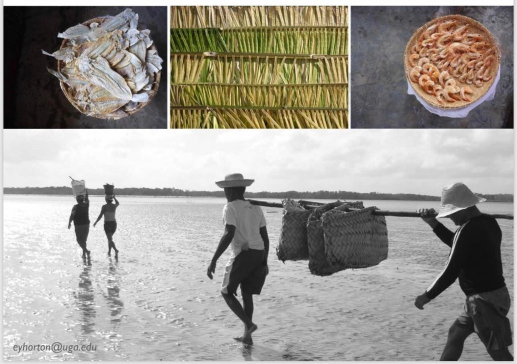 IMG-20200626-WA0030_2