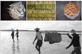 UEMA participa de comitê de avaliação de doutorado do Integrative Conservation PhD Program da University of Georgia – UGA/US