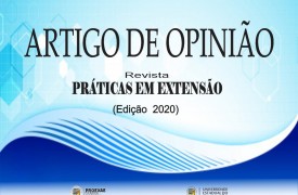 ARTIGO: Saberes e Práticas da Extensão Universitária na Resposta ao Enfrentamento da COVID-19 no Brasil
