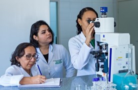 Novo tratamento da leishmaniose através de óleo de planta medicinal é estudado por pesquisadoras da UEMA