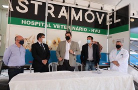 UEMA e Vara de Interesses Difusos e Coletivos lançam projeto “Controle de natalidade de animais abandonados”