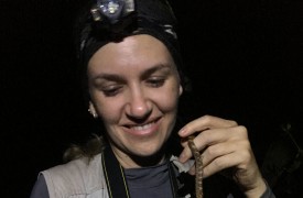 Pesquisadora da UEMA integra grupo de cientistas responsável pela criação da rede de apoio a biólogas na área de Zoologia