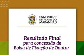 Resultado Final para concessão de bolsa de fixação de Doutor Mestrado Profissional em Educação