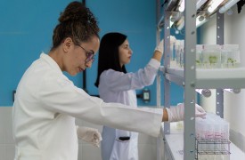 Pesquisadores da Uema realizam estudo para desenvolvimento de protocolos para produção de mudas micropropagadas de espécies frutíferas