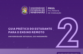 PROG divulga o 2º volume do Guia Prático para o Ensino Remoto