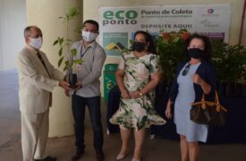 Projeto Café Sustentável viabiliza entrega de mudas de ipês rosas e amarelos a servidores do Ministério Público do Maranhão